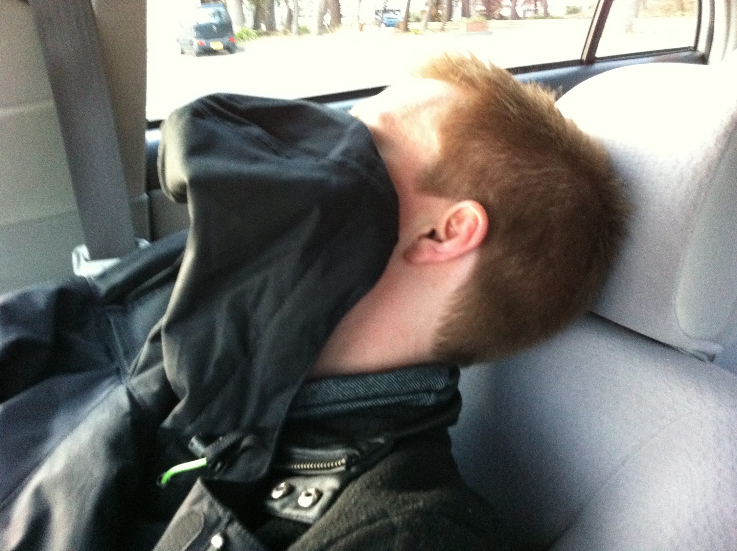 Olly-sleeping